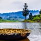 Kodaikanal