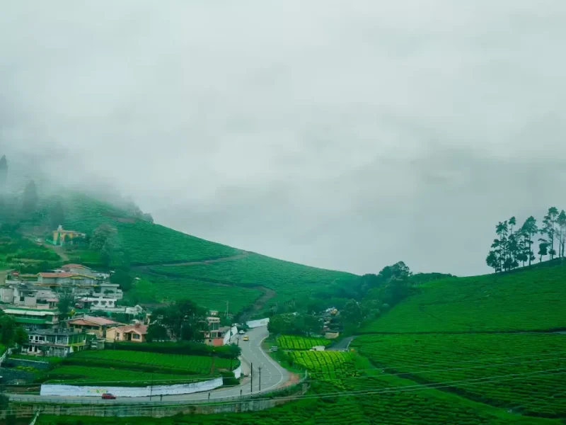 Ooty