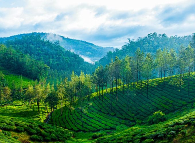 Thekkady