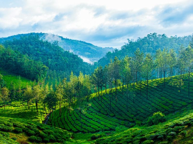 Thekkady