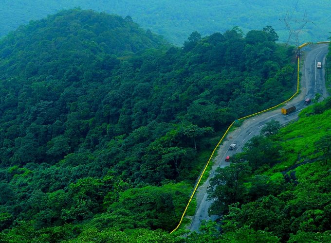 Wayanad & Kovalam Tour