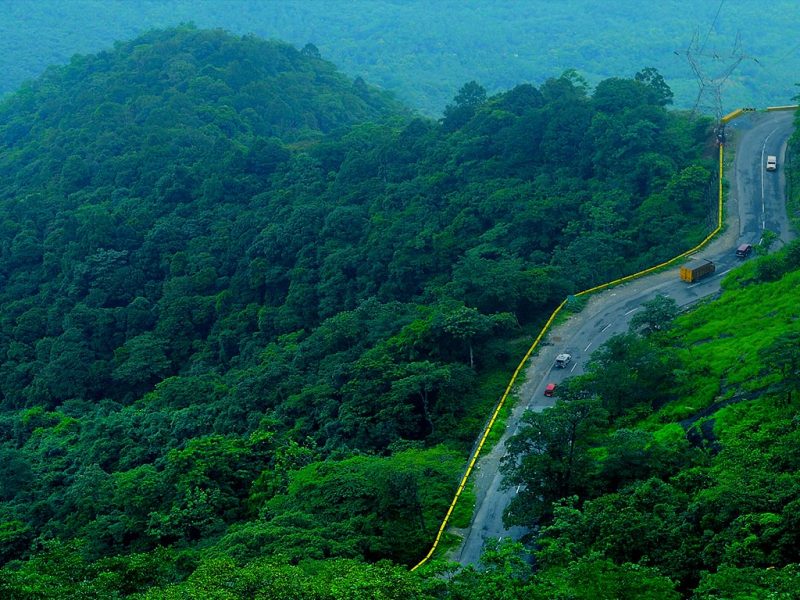 Wayanad & Kovalam Tour